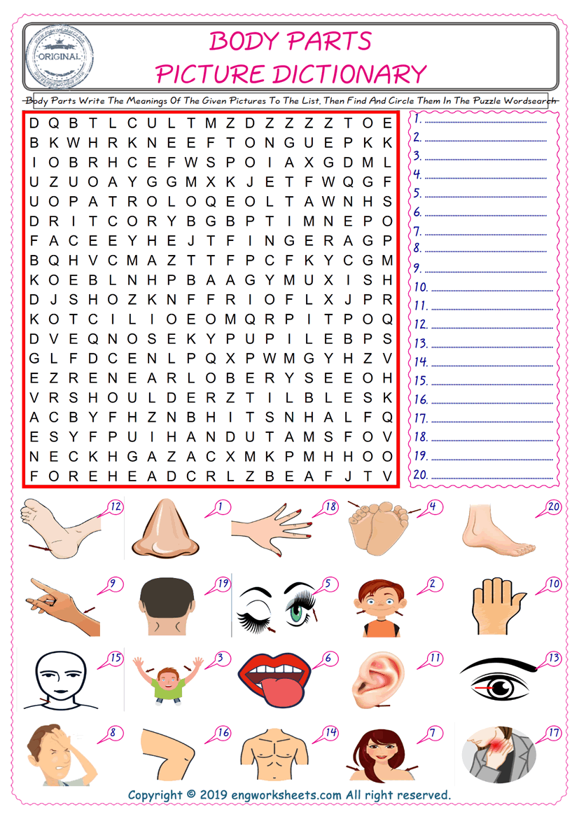  For kids, check the picture of Body Parts find, and write the word and find it in the word puzzle ESL printable worksheet. 